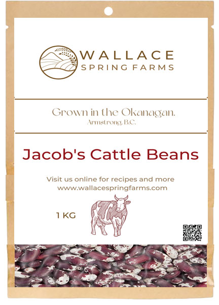 Jacob's Cattle Bean, Wallace Spring Farms, Armstrong, BC