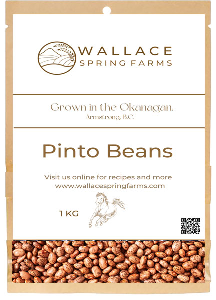 Pinto Beans, Wallace Spring Farms, Armstrong, BC