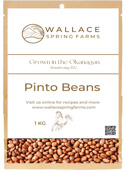 Pinto Bean Wallace Spring Farms Armstrong BC Bean Grower Kidney 