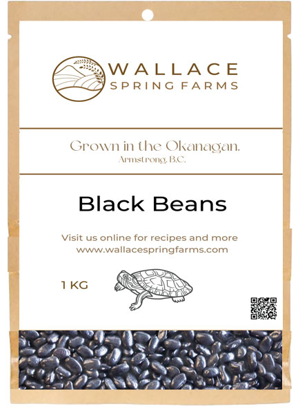Black Beans, Wallace Spring Farms, Armstrong, BC