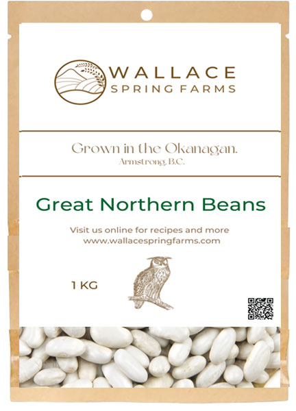 Great Northern Beans, Wallace Spring Farms, Armstrong, BC
