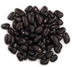 Black Beans at Armstrong farm 