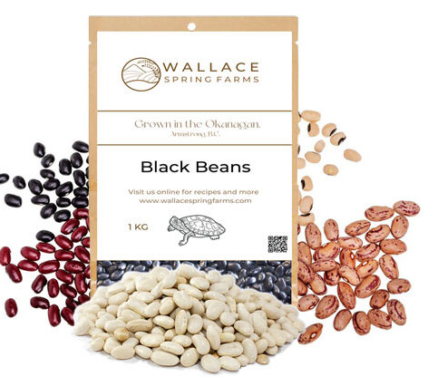 Wallace Spring Farms Beans in Armstrong BC